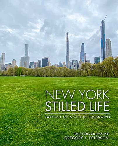 Beispielbild fr New York Stilled Life zum Verkauf von Blackwell's