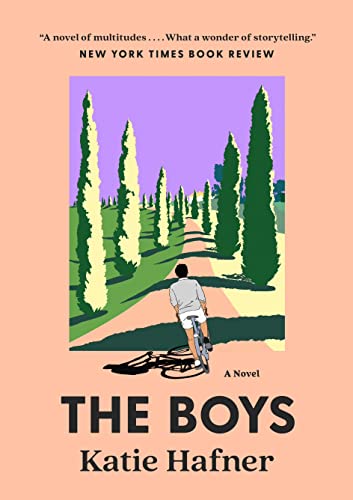 Stock image for The Boys for sale by Kennys Bookshop and Art Galleries Ltd.