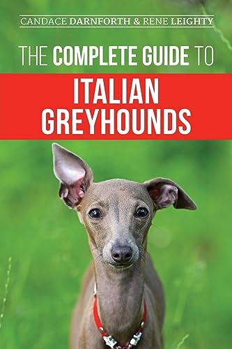 Imagen de archivo de The Complete Guide to Italian Greyhounds: Training, Properly Exercising, Feeding, Socializing, Grooming, and Loving Your New Italian Greyhound Puppy a la venta por GreatBookPrices