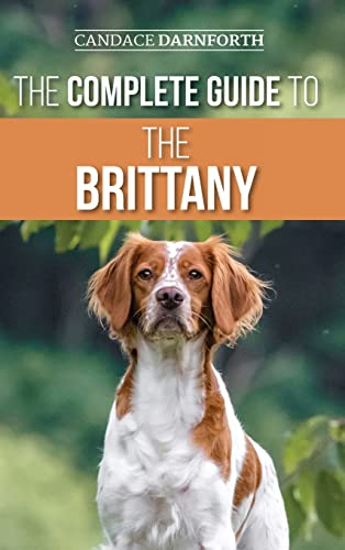 9781954288317: The Complete Guide to the Brittany: Selecting, Preparing For, Feeding, Socializing, Commands, Field Work Training, and Loving Your New Brittany Spaniel Puppy