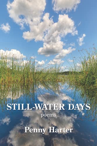 9781954353497: Still-Water Days