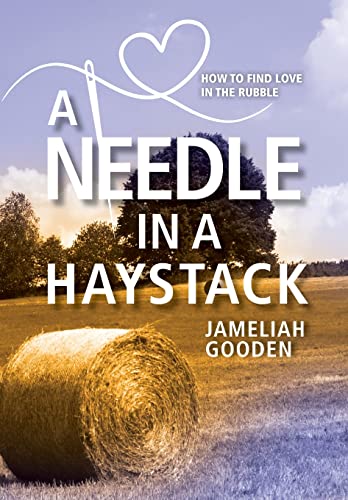 Stock image for A Needle in a Haystack: How to Find Love in the Rubble for sale by BooksRun