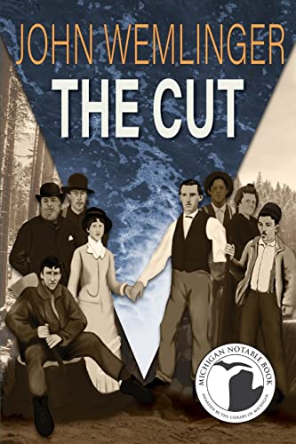 Stock image for The Cut for sale by Reliant Bookstore