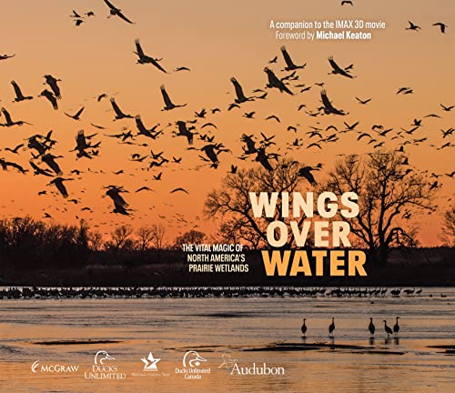 Stock image for Wings Over Water for sale by THE SAINT BOOKSTORE