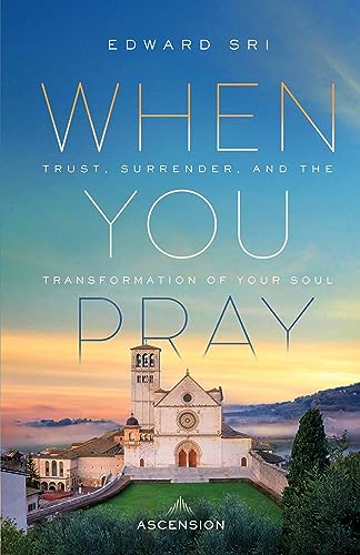 Stock image for When You Pray: Trust, Surrender, and the Transformation of Your Soul for sale by Greenway