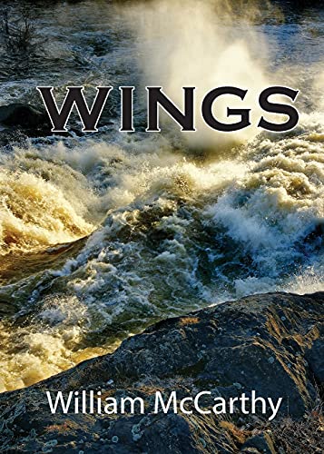 Stock image for Wings for sale by Red's Corner LLC