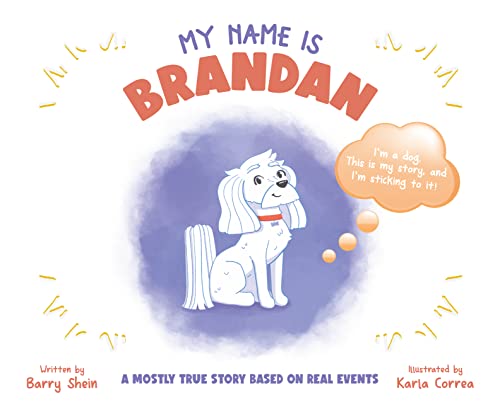 Imagen de archivo de My Name Is Brandan a la venta por -OnTimeBooks-
