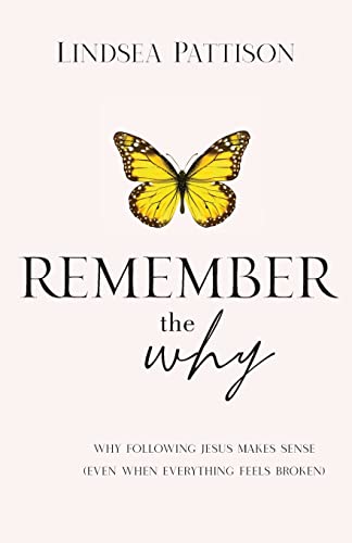 Imagen de archivo de Remember the Why: Why Following Jesus makes Sense (even when everything else feels broken) a la venta por BooksRun