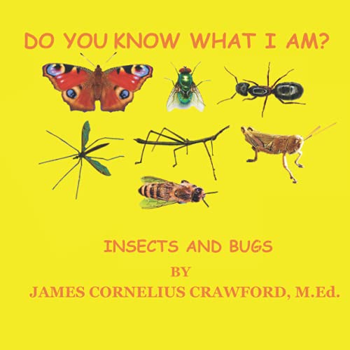 Stock image for DO YOU KNOW WHAT I AM?: INSECTS AND BUGS for sale by Ria Christie Collections