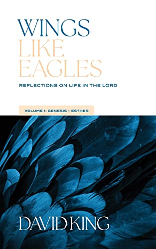 Stock image for Wings Like Eagles Vol 1 for sale by Big River Books