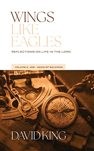 Stock image for Wings Like Eagles Vol. 2: Vol. 2: Reflections on Life in the Lord - Volume 2 for sale by HPB-Diamond