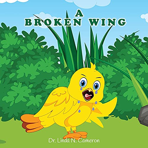 Stock image for A Broken Wing for sale by Lucky's Textbooks