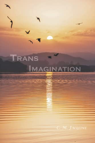 Stock image for Trans Imagination for sale by Better World Books