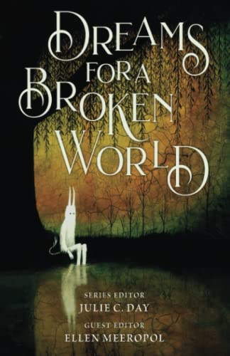Beispielbild fr Dreams for a Broken World zum Verkauf von SecondSale