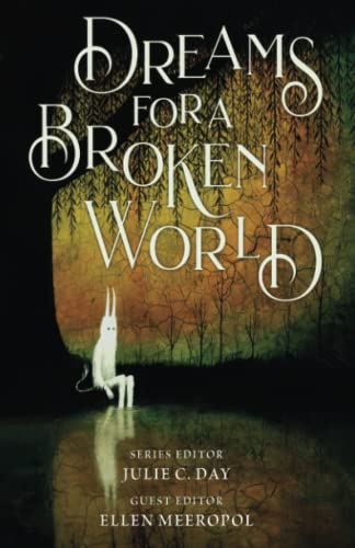 Stock image for Dreams for a Broken World for sale by ThriftBooks-Dallas