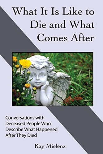 9781955713061: What It Is Like to Die and What Comes After: Conversations with Deceased People Who Describe What Happened After They Died