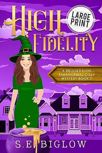Beispielbild fr High Fidelity : A Supernatural Small Town Mystery zum Verkauf von Buchpark