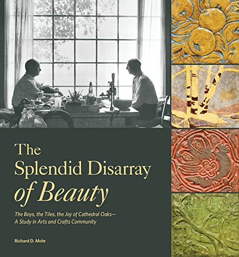 Beispielbild fr The Splendid Disarray of Beauty zum Verkauf von Blackwell's