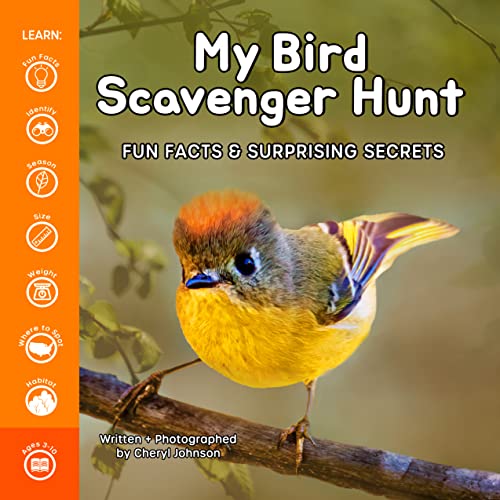 Imagen de archivo de My Bird Scavenger Hunt - Childrens Book of Birds, Educational Wildlife Photography Fascinating Facts About the Beautiful Birds On Our Planet - Unique Bird Identification Book for Kids of All Ages a la venta por Goodwill Books