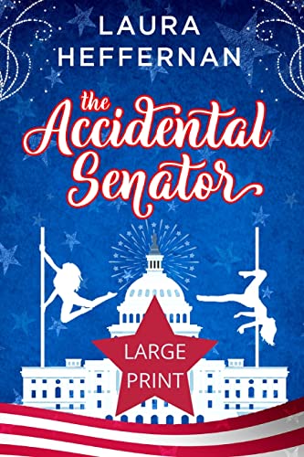 Stock image for The Accidental Senator for sale by Lucky's Textbooks