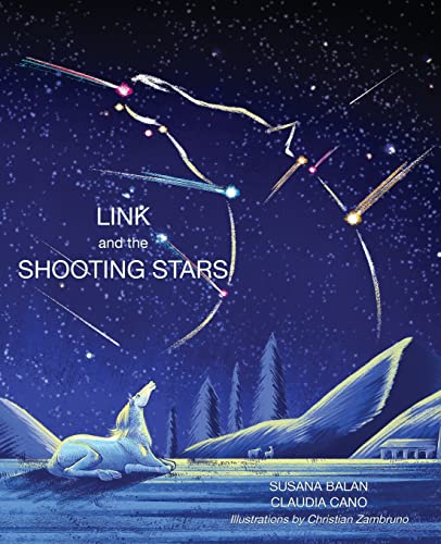 Beispielbild fr Link and the Shooting Stars zum Verkauf von Book Deals