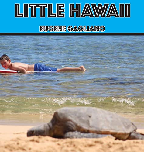 Beispielbild fr Little Hawaii zum Verkauf von Buchpark