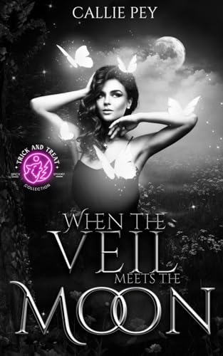 Beispielbild fr When the Veil meets the Moon zum Verkauf von GF Books, Inc.