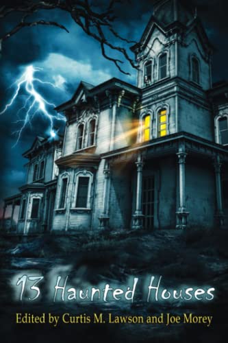 Stock image for 13 Haunted Houses for sale by Decluttr