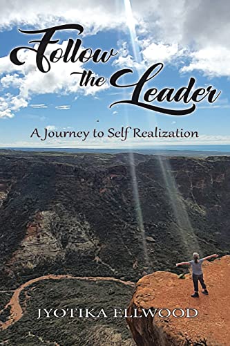 Stock image for Follow the Leader: A Journey to Self Realization for sale by Lucky's Textbooks