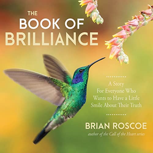 Stock image for The Book of Brilliance for sale by PlumCircle