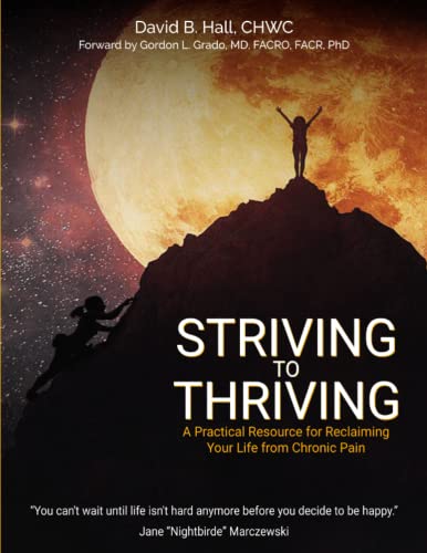 Stock image for Striving to Thriving: A Practical Resource for Reclaiming Your Life from Chronic Pain for sale by Books From California