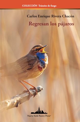 Stock image for Regresan los pájaros (Colecci n Tránsito de fuego) (Spanish Edition) for sale by Bookmonger.Ltd