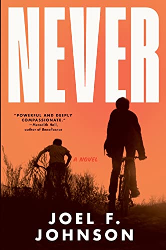 Stock image for Never: a novel for sale by More Than Words