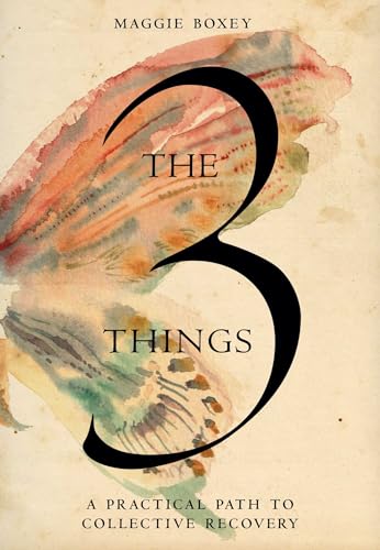 Imagen de archivo de The 3 Things: A Practical Path to Collective Recovery a la venta por Lakeside Books