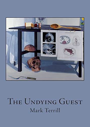 Stock image for The Undying Guest for sale by GreatBookPrices