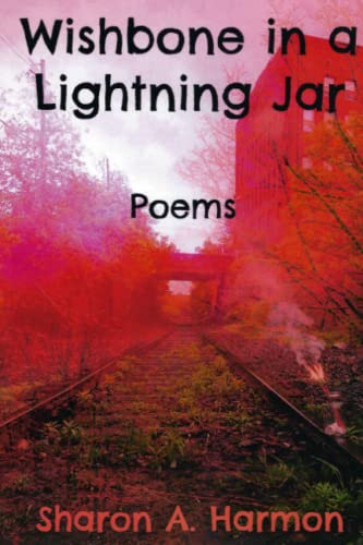 9781960038043: Wishbone in a Lightning Jar: Poems