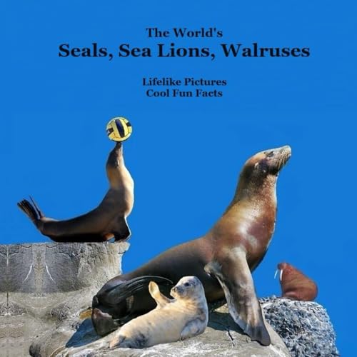Stock image for The World's Seals, Sea Lions, Walruses, Kids Book: Great Way to Meet the Seals, Sea Lions, Walruses of the World for sale by GF Books, Inc.