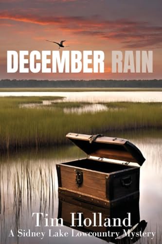 Stock image for December Rain for sale by GreatBookPrices