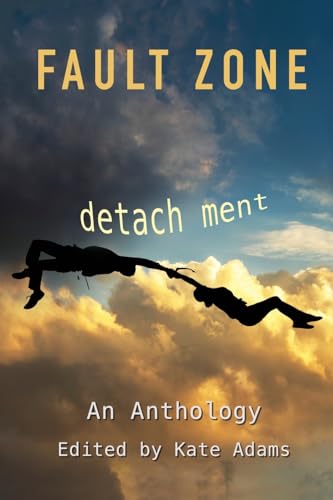 Stock image for Fault Zone: Detachment for sale by GreatBookPrices
