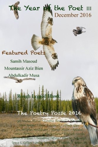 Stock image for The Year of the Poet III ~ December 2016 (Volume 36) for sale by Project HOME Books