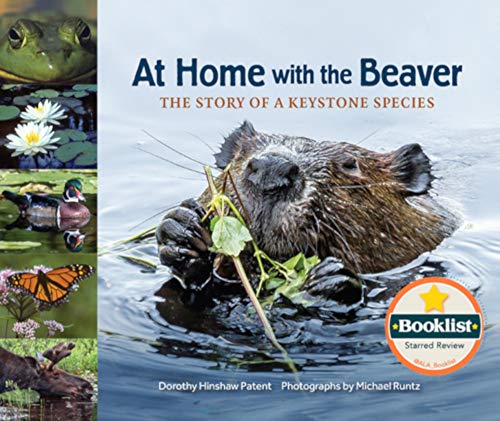 Beispielbild fr At Home with the Beaver : The Story of a Keystone Species zum Verkauf von Better World Books