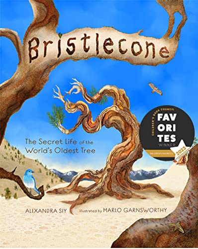 Stock image for Bristlecone: The Secret Life of the World's Oldest Tree for sale by ThriftBooks-Atlanta