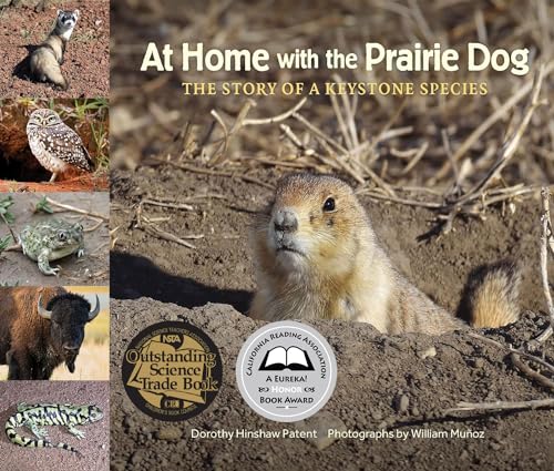 Stock image for At Home with the Prairie Dog: The Story of a Keystone Species for sale by ThriftBooks-Atlanta