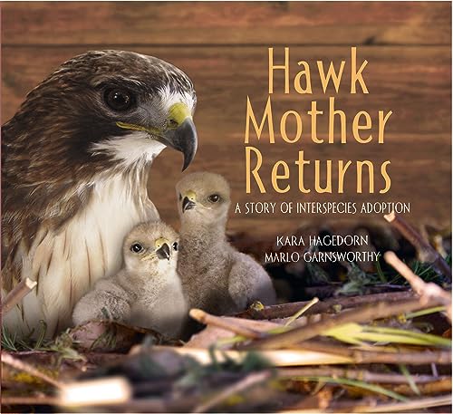 Imagen de archivo de Hawk Mother Returns: A Story of Interspecies Adoption (Hawk Mother, 2) a la venta por HPB-Emerald