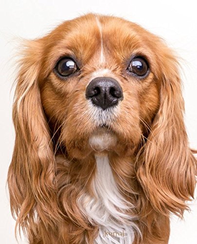 Stock image for Journal: Cavalier King Charles Spaniel (Cavalier King Charles Spaniel Collection) for sale by Revaluation Books