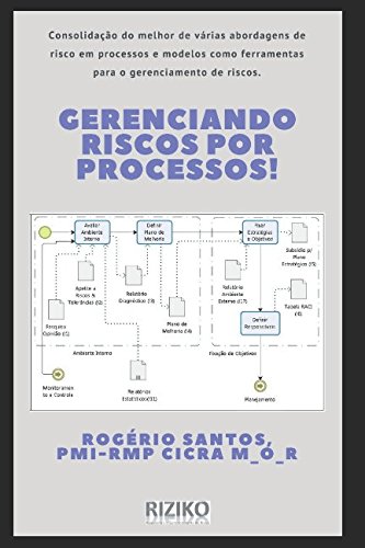 Stock image for Gerenciando Riscos por Processos! for sale by Revaluation Books