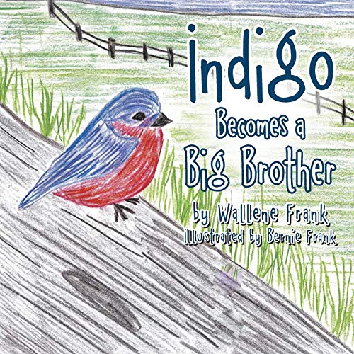Imagen de archivo de Indigo Becomes a Big Brother (Paperback or Softback) a la venta por BargainBookStores