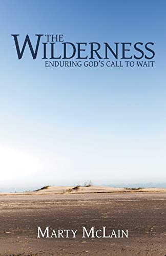 Stock image for The Wilderness: Enduring God'S Call to Wait for sale by Chiron Media