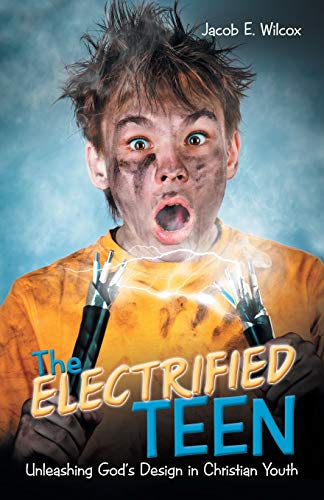 Stock image for The Electrified Teen: Unleashing God'S Design in Christian Youth for sale by Chiron Media