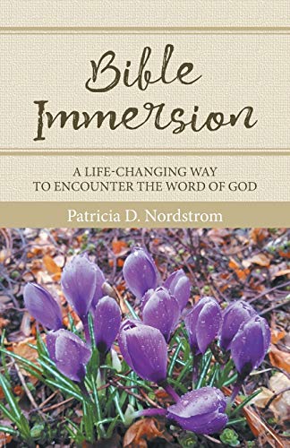 Stock image for Bible Immersion: A Life-Changing Way to Encounter the Word of God for sale by GoldBooks